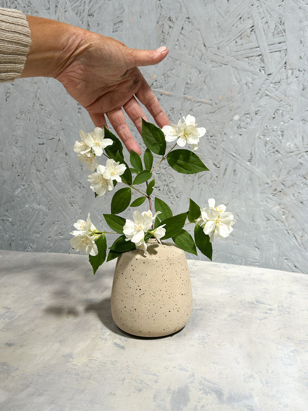 small sand color vase with speckles and white flower