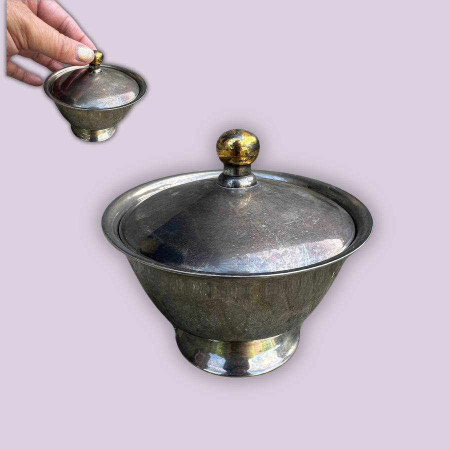 Charming Silver-Colored Sugar Pot