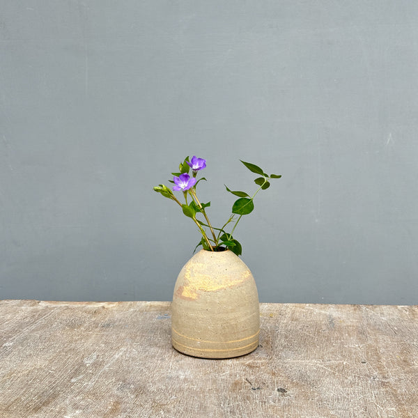 sand colored vase medium size