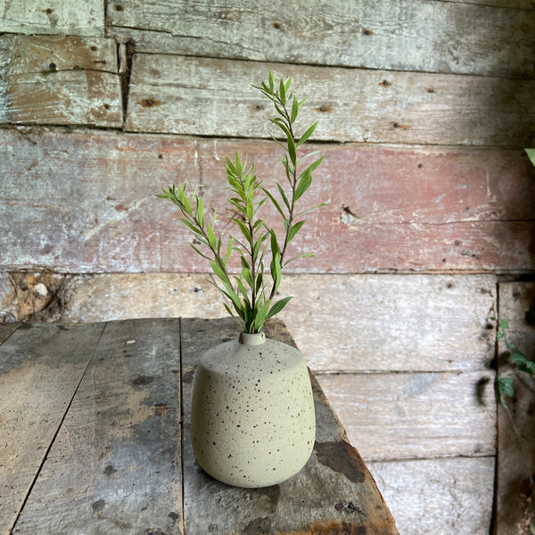 little cream speckled ceramic vase with a branche