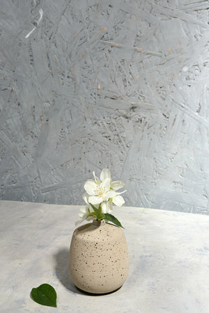 small sand color vase with speckles and white flower