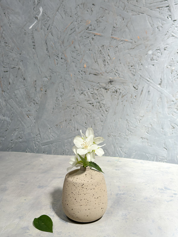 small sand color vase with speckles and white flower