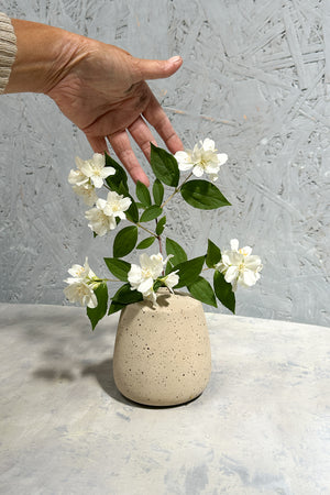 small sand color vase with speckles and white flower